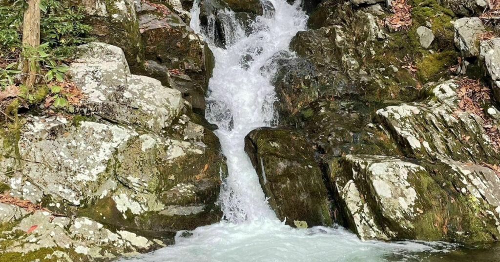 Looking for hikes near Crabtree Falls with peaceful streams and family-friendly waterfalls? White Rock Falls winds through the Blue Ridge forest to a wading pool where hikers and pups can cool off under the trees.