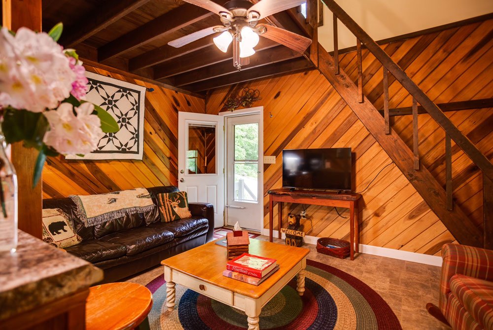 Cabin interior