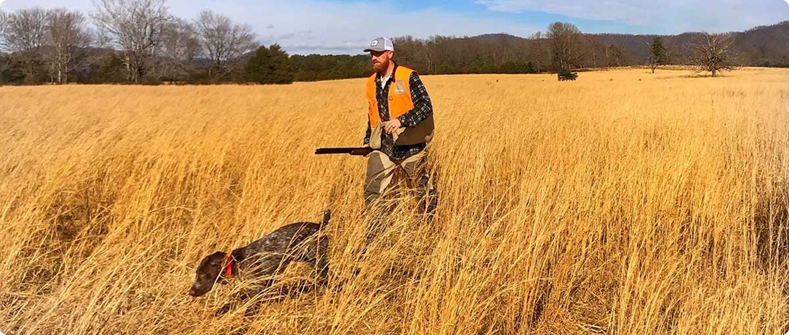Man and Dog in a field. Bird hunting is one of many things to do in nelson county  VA